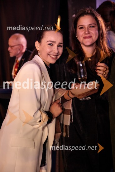 Hamlet, premiera baleta v SNG Opera in balet Ljubljana