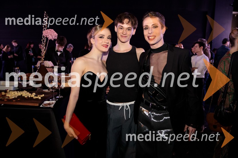 Hamlet, premiera baleta v SNG Opera in balet Ljubljana