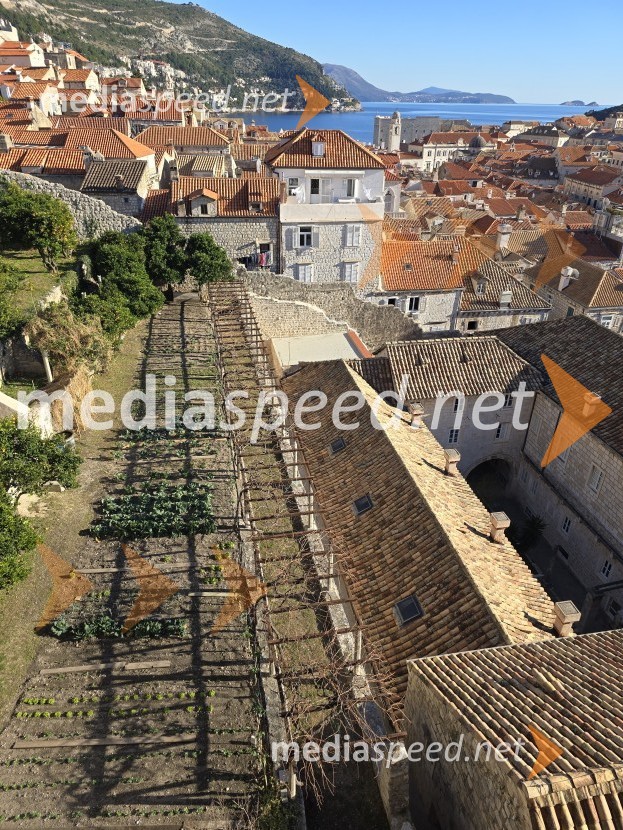 Dubrovnik, biser Jadrana s sredozemskim šarmom