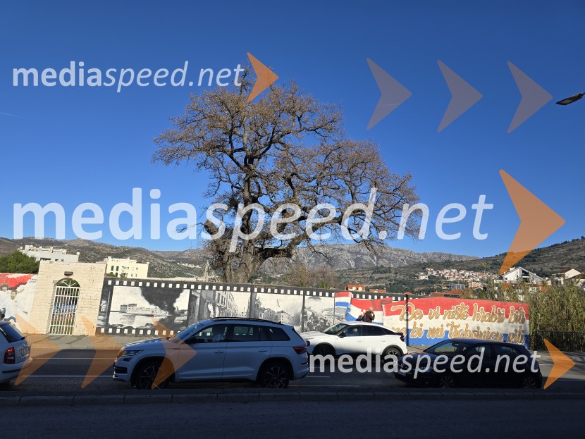 Dubrovnik, biser Jadrana s sredozemskim šarmom