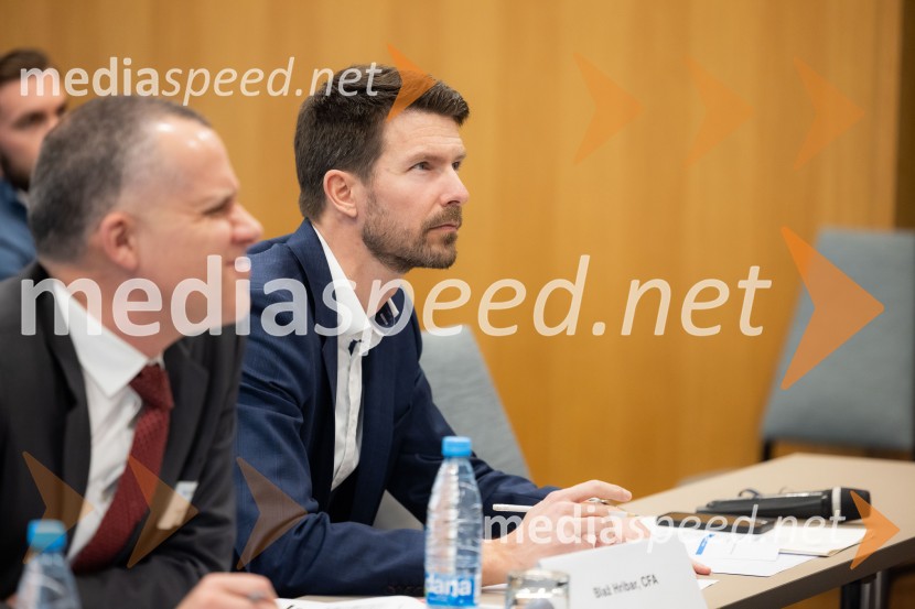  Oliver P. Müller, CFA, CAIA, FRM, CFA Society Switzerland;  Blaž Hribar, CFA, sodnikCFA Research Challenge 2024/2025