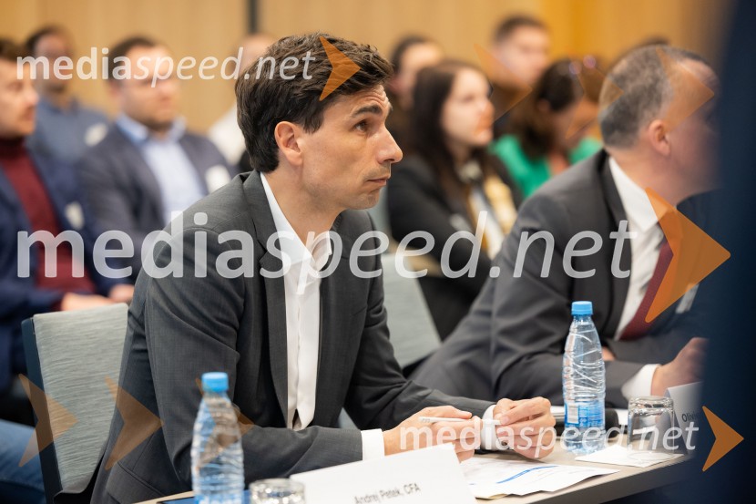  Andrej Petek, CFA, član uprave Triglav SkladiCFA Research Challenge 2024/2025