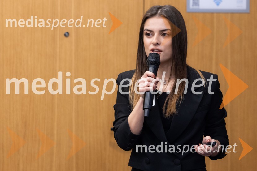  Kristina DimitrieskaCFA Research Challenge 2024/2025