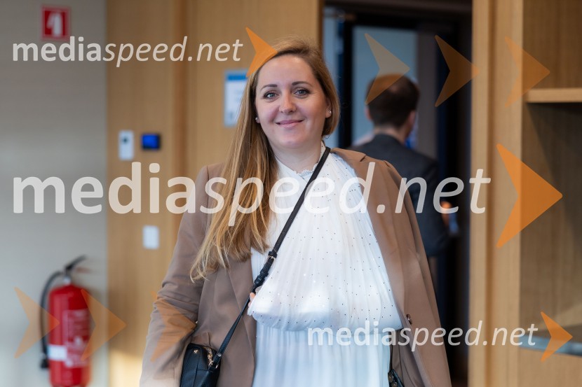 CFA Research Challenge 2024/2025