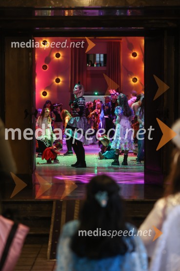 Pustovanje v Festivalni dvorani 2025, sobota