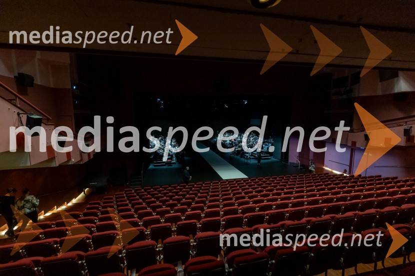 Hamlet, predstava v Cankarjevem domu