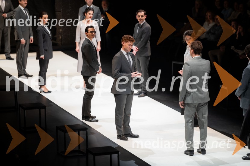 Hamlet, predstava v Cankarjevem domu