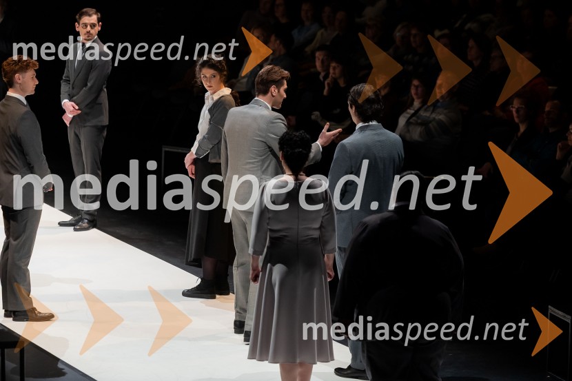 Hamlet, predstava v Cankarjevem domu