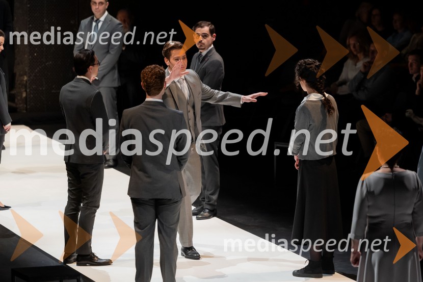 Hamlet, predstava v Cankarjevem domu