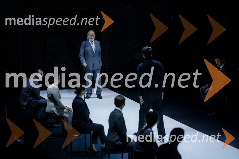 Hamlet, predstava v Cankarjevem domu