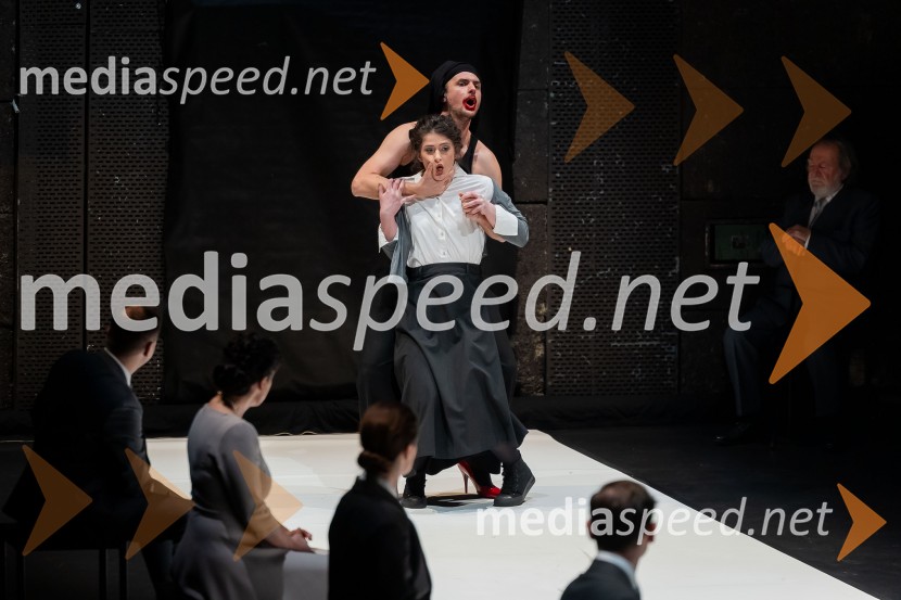 Hamlet, predstava v Cankarjevem domu