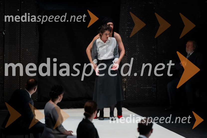 Hamlet, predstava v Cankarjevem domu