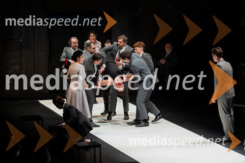 Hamlet, predstava v Cankarjevem domu