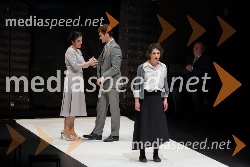 Hamlet, predstava v Cankarjevem domu