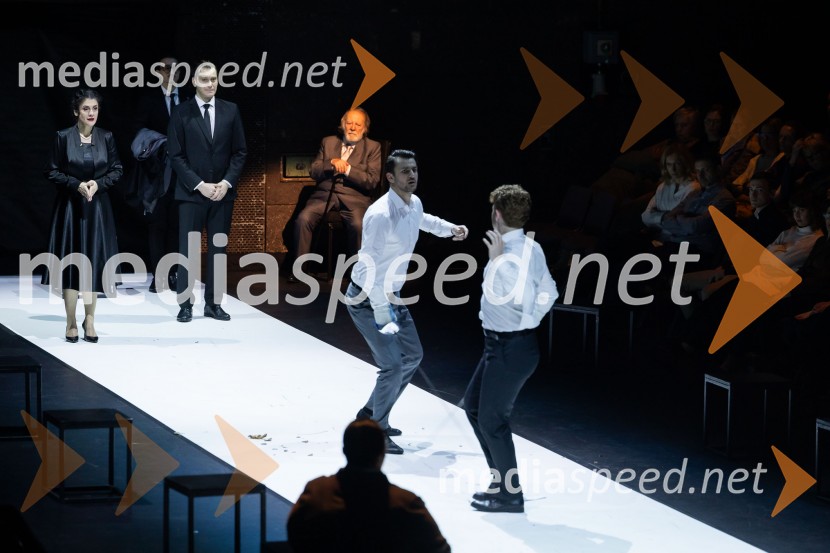 Hamlet, predstava v Cankarjevem domu