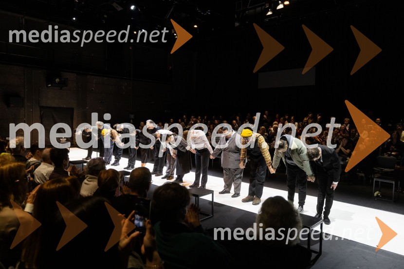 Hamlet, predstava v Cankarjevem domu