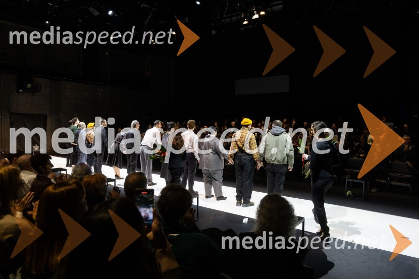 Hamlet, predstava v Cankarjevem domu