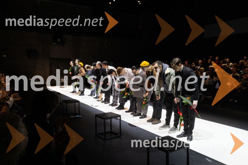 Hamlet, predstava v Cankarjevem domu