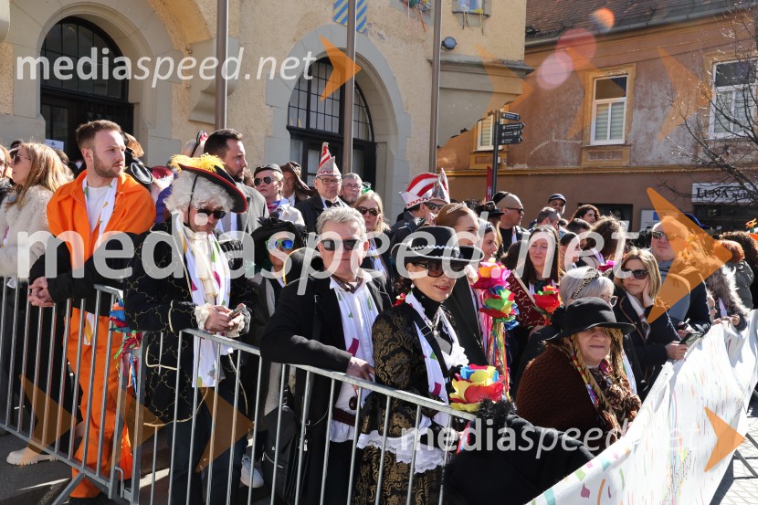 65. Mednarodna karnevalska povorka na Ptuju