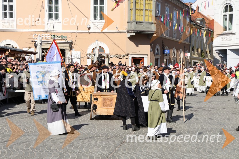 65. Mednarodna karnevalska povorka na Ptuju