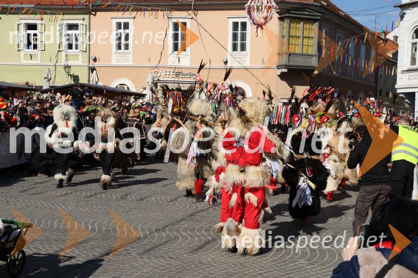 65. Mednarodna karnevalska povorka na Ptuju