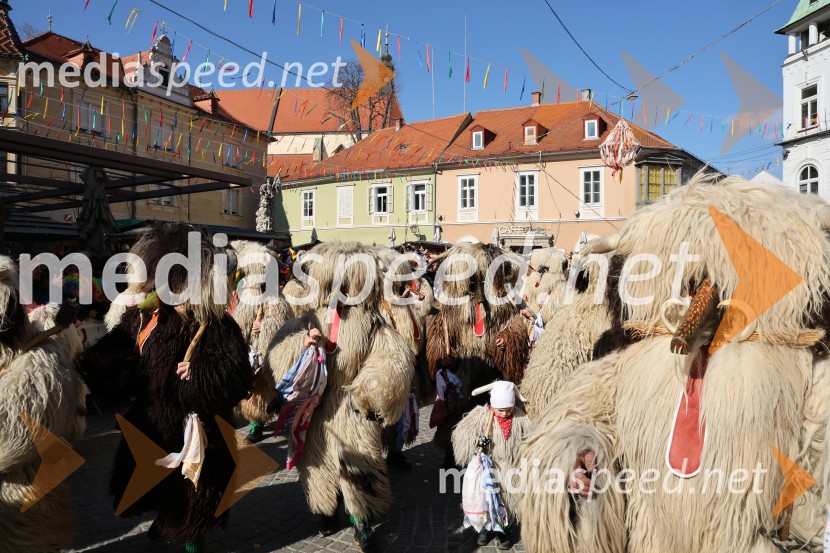 65. Mednarodna karnevalska povorka na Ptuju