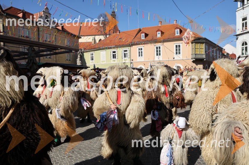 65. Mednarodna karnevalska povorka na Ptuju