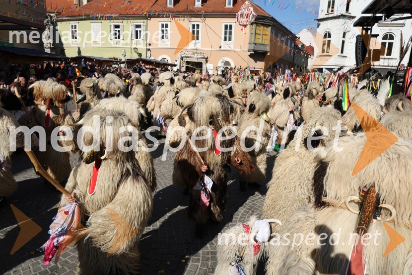 65. Mednarodna karnevalska povorka na Ptuju