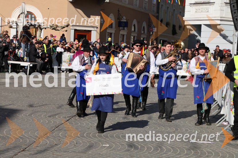 65. Mednarodna karnevalska povorka na Ptuju