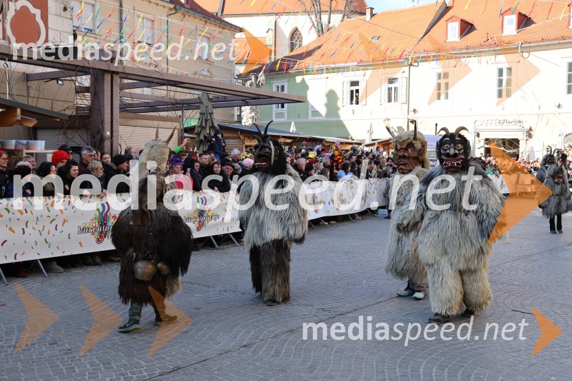 65. Mednarodna karnevalska povorka na Ptuju