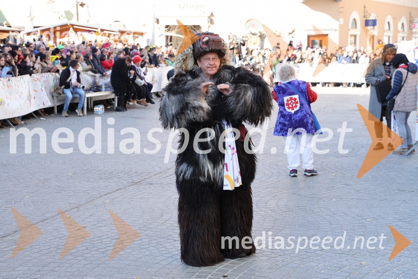 65. Mednarodna karnevalska povorka na Ptuju
