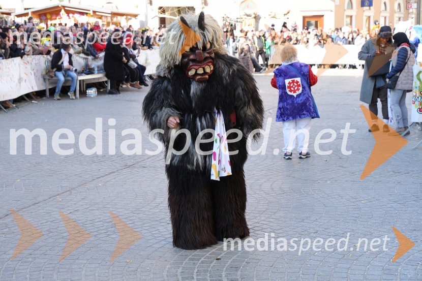 65. Mednarodna karnevalska povorka na Ptuju