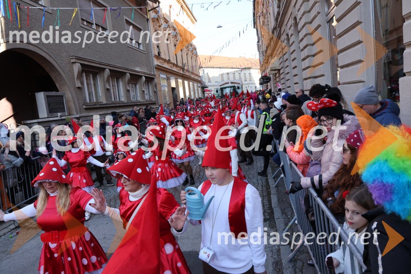 65. Mednarodna karnevalska povorka na Ptuju