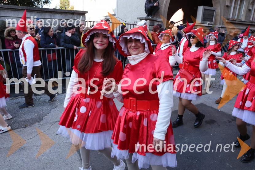 65. Mednarodna karnevalska povorka na Ptuju