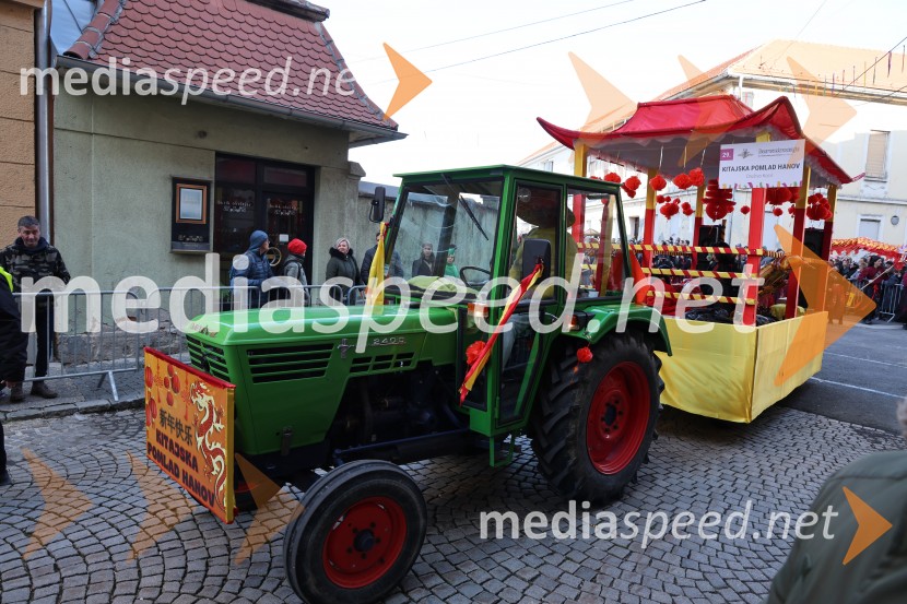 65. Mednarodna karnevalska povorka na Ptuju