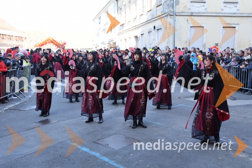 65. Mednarodna karnevalska povorka na Ptuju