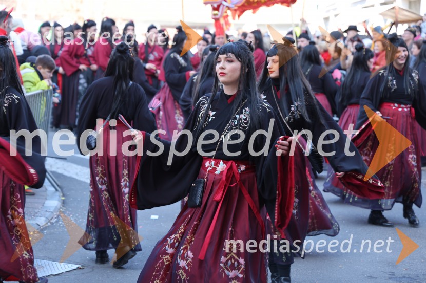 65. Mednarodna karnevalska povorka na Ptuju