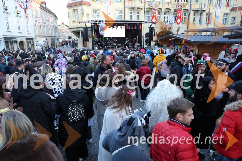 65. Mednarodna karnevalska povorka na Ptuju