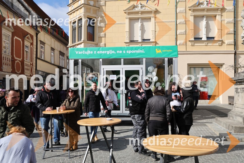 65. Mednarodna karnevalska povorka na Ptuju