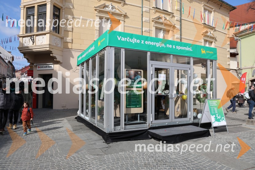 65. Mednarodna karnevalska povorka na Ptuju