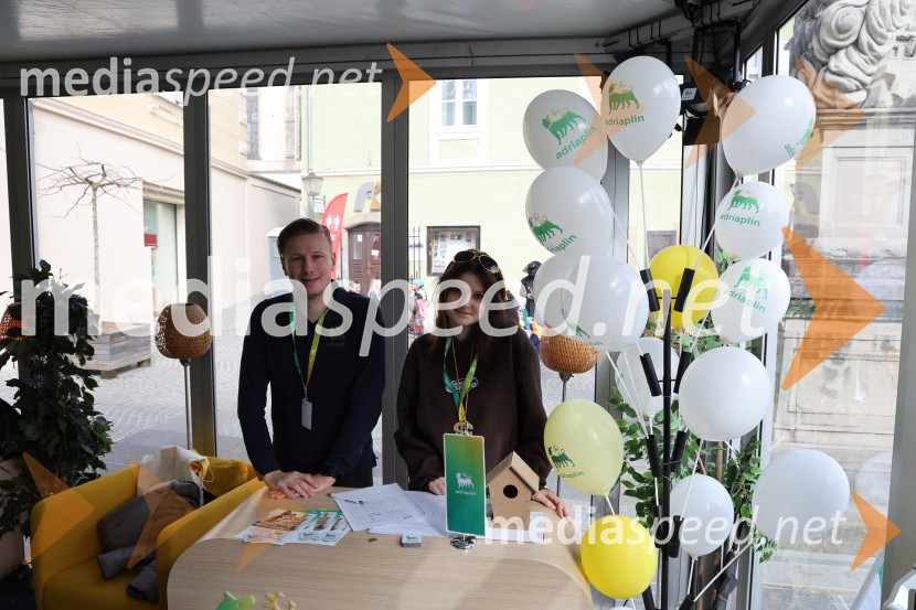 65. Mednarodna karnevalska povorka na Ptuju