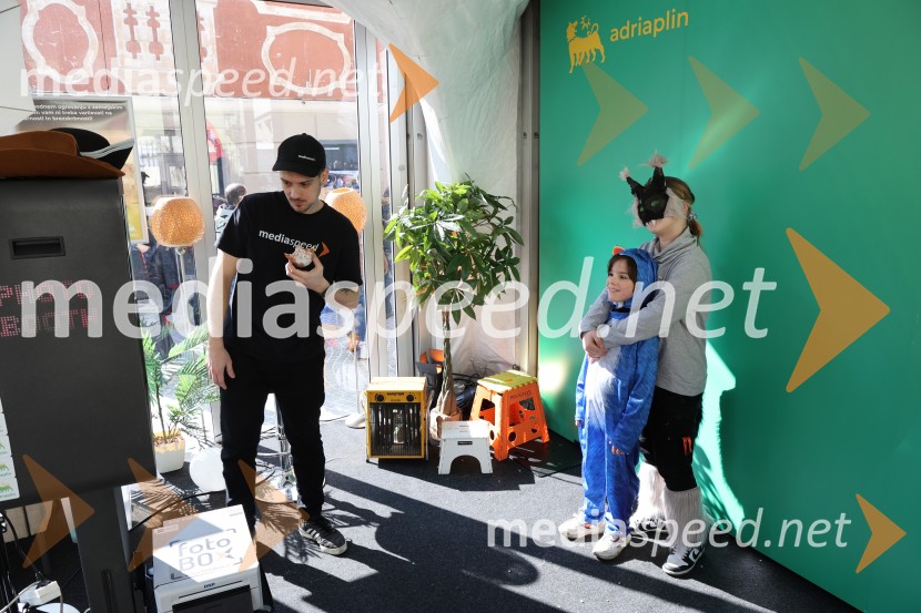 65. Mednarodna karnevalska povorka na Ptuju