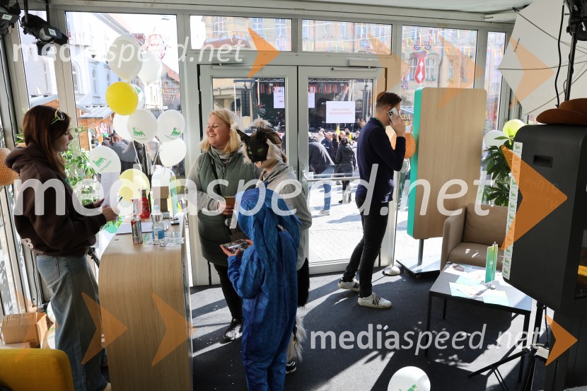 65. Mednarodna karnevalska povorka na Ptuju