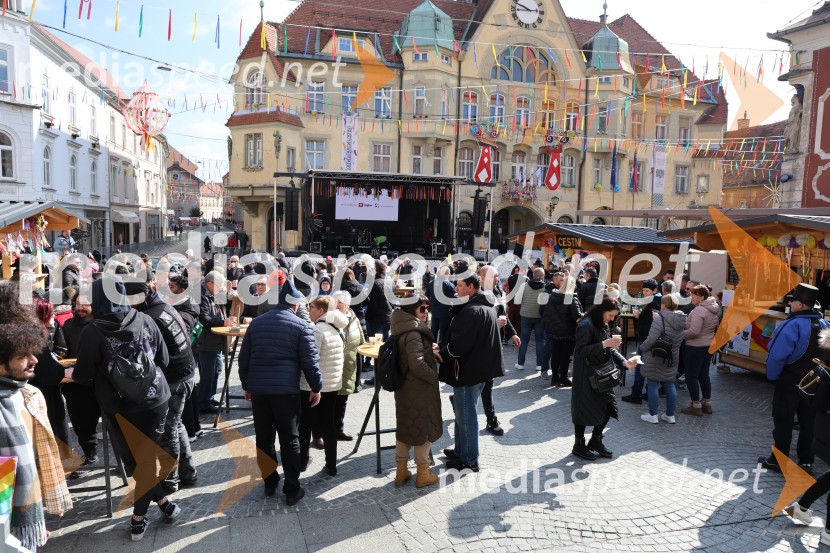 65. Mednarodna karnevalska povorka na Ptuju