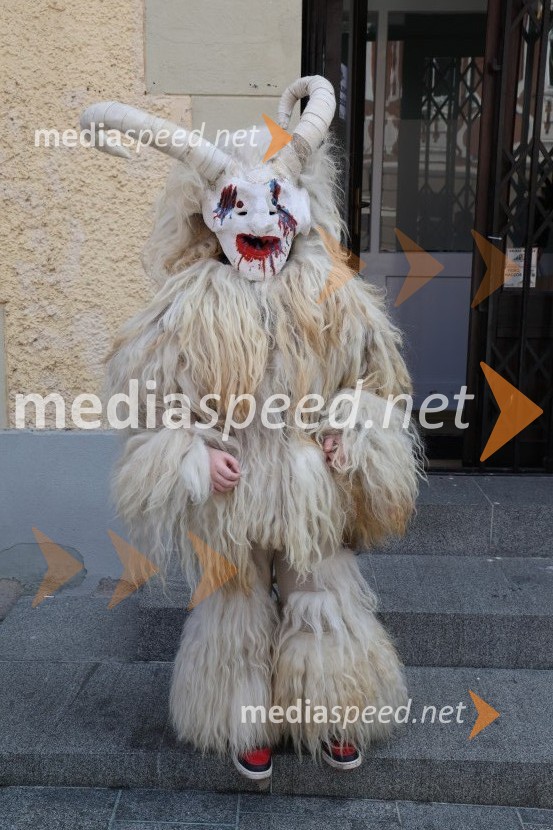 65. Mednarodna karnevalska povorka na Ptuju