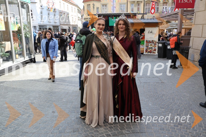 65. Mednarodna karnevalska povorka na Ptuju