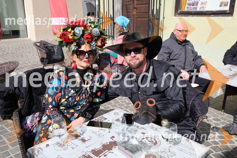 65. Mednarodna karnevalska povorka na Ptuju