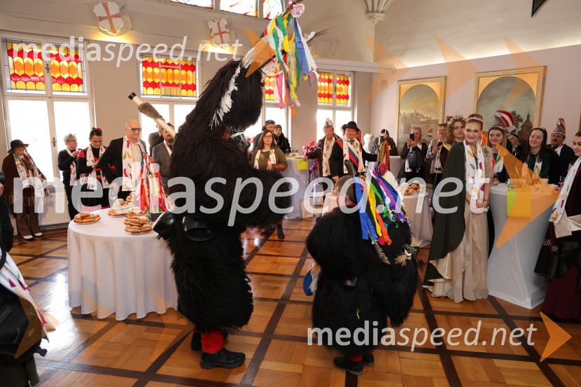 65. Mednarodna karnevalska povorka na Ptuju