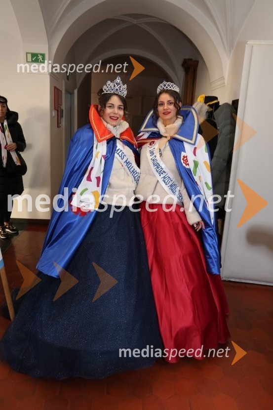 65. Mednarodna karnevalska povorka na Ptuju