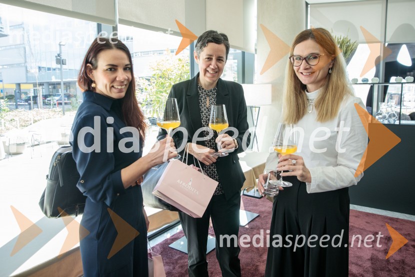  Manca Korelc, samostojna svetovalka za komunikacijo na družbenih omrežjih;  ... ;  ... Umetnost vodenja: pogledi uspešnih managerk